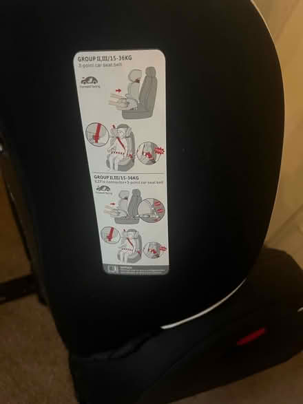 Photo of free Set car plant/Child car seat (Morfa Rhyd LL30) #1