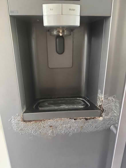 Photo of free American Fridge Freezer (Teddington TW11) #3