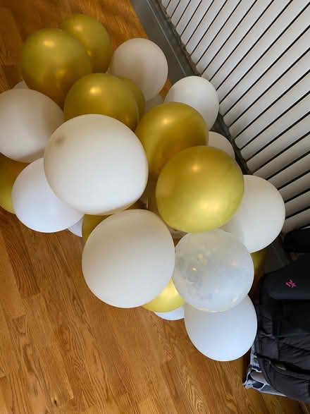 Photo of free Balloons (Cyncoed CF23) #1