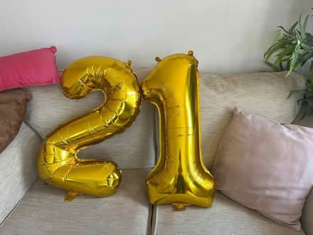 Photo of free Two balloons (The Triangle Estate RH15) #2