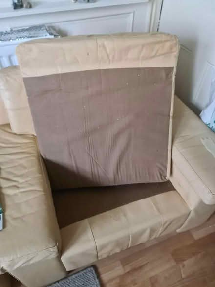 Photo of free two armchairs (Arthurs Hill) #3