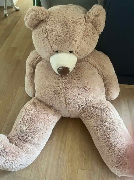 Photo of free Huge stuffed teddy bear (Falls Church, VA) #2