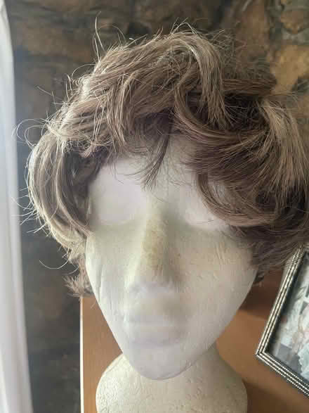 Photo of free 3 wigs (Tolroy TR27) #1