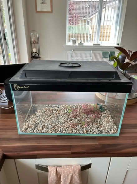 Photo of free Fish tank (Tillicoultry FK13) #1