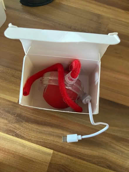 Photo of free Rechargeable cat toy (Manor Gardens) #1