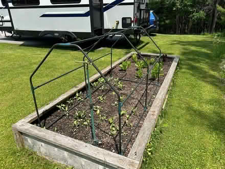 Photo of free Green house (Peterborough.) #3
