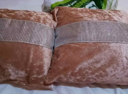 Photo of free Sofa cushions (South ockendon RM15) #1