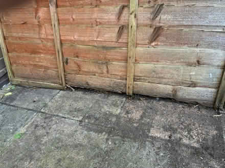 Photo of free Fence Panels (damaged) (Banstead) #4