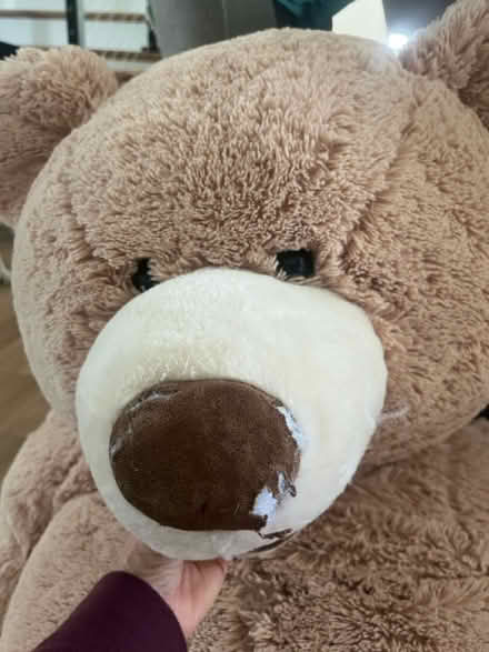Photo of free Huge stuffed teddy bear (Falls Church, VA) #1