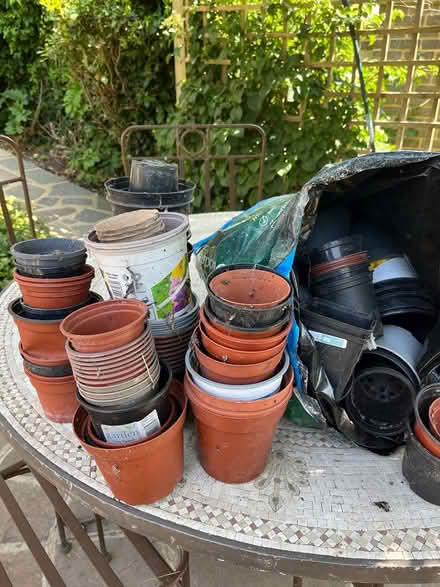 Photo of free Variety of plastic plant pots (Orpington) #3