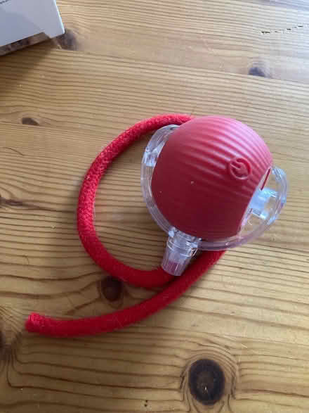 Photo of free Rechargeable cat toy (Manor Gardens) #2