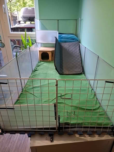 Photo of free Guinea pig enclosure (Leith EH6) #1