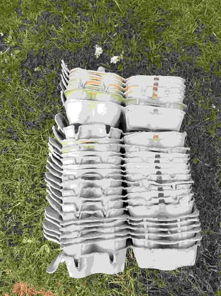 Photo of free Egg Boxes 25 x 6 (Minster Lovell OX29) #1