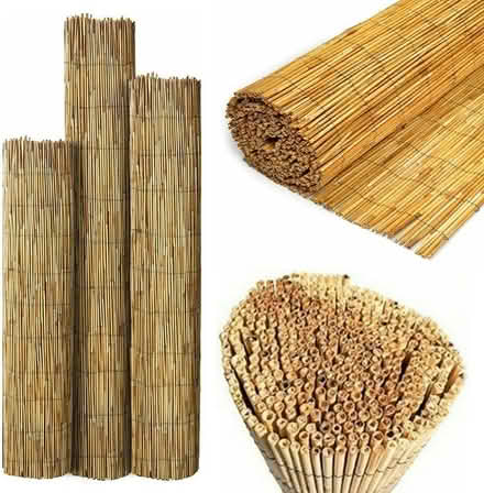 Photo of free Reed screen panels (Lambeth) #1