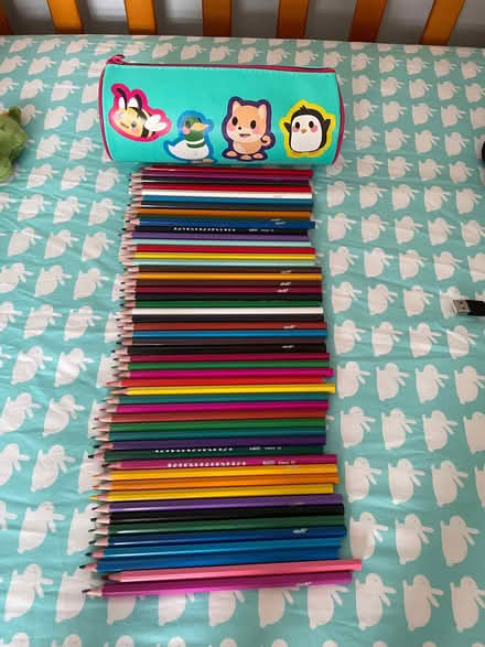 Photo of free Pencil case and pencil crayons (Thringstone LE67) #1