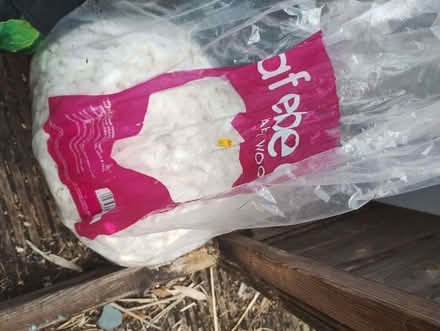 Photo of free Pet bedding (Brockley SE4) #1