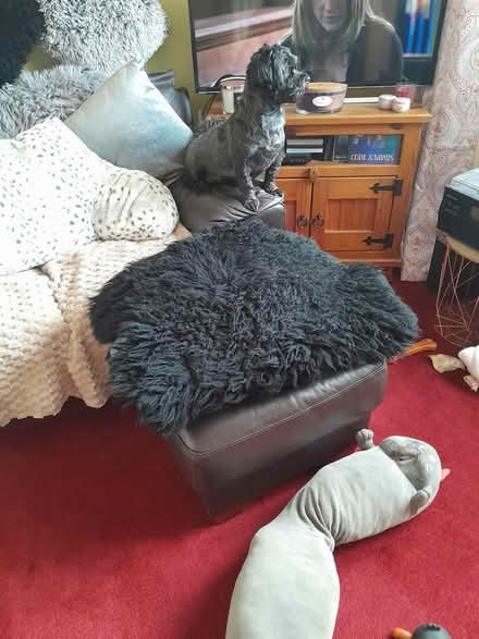 Photo of free 2 two seater settee and footstool (Thorney close. Sunderland) #2