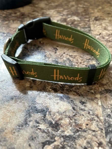 Photo of free Dog collar (Hastings. Broom grove TN34) #2