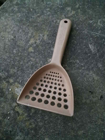 Photo of free Litter tray scoop (Oldfield Park) #1