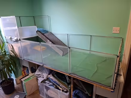 Photo of free Guinea pig enclosure (Leith EH6) #2