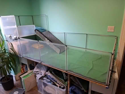 Photo of free Guinea pig enclosure (Leith EH6) #2