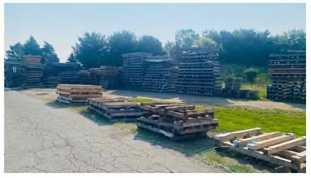 Photo of free Pallets (Holt, MI) #1