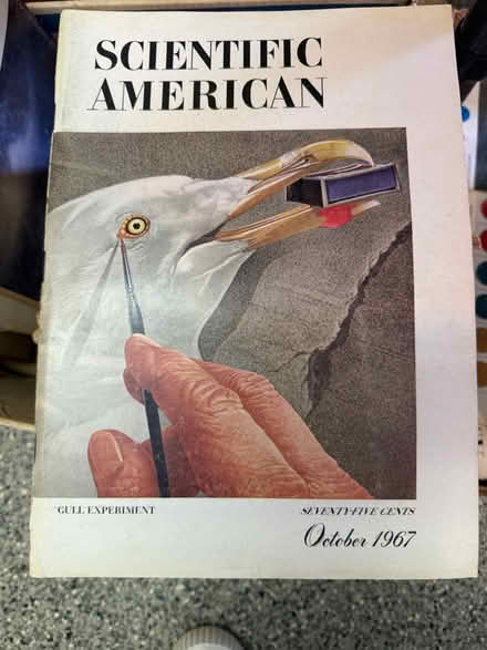 Photo of free Vintage Scientific American Mags (Hinsdale, IL) #3