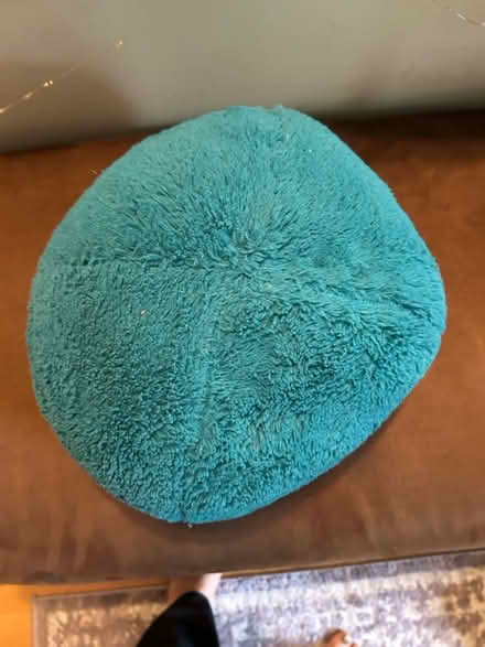 Photo of free Pillow ball (McLean near Spring Hill Road) #1