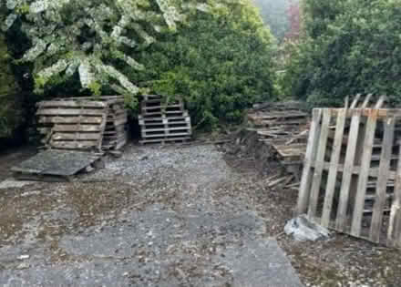 Photo of free pallets for firewood (PE12) #1