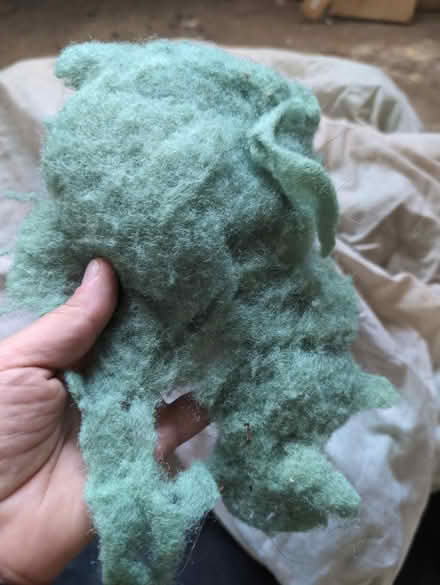 Photo of free Pillow filling (Romford RM2) #1