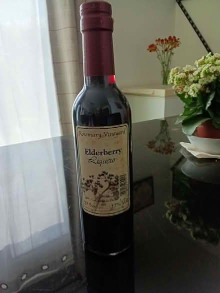 Photo of free elderberry liqueur (Northop Hall CH7) #2