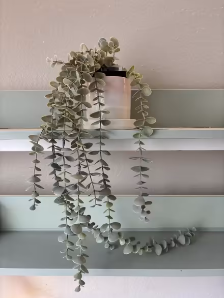 Photo of free Fake Plant & Planter w/ Drainage (U-District) #1