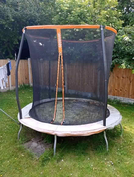 Photo of free 8 foot trampoline (Queensferry CH5) #1