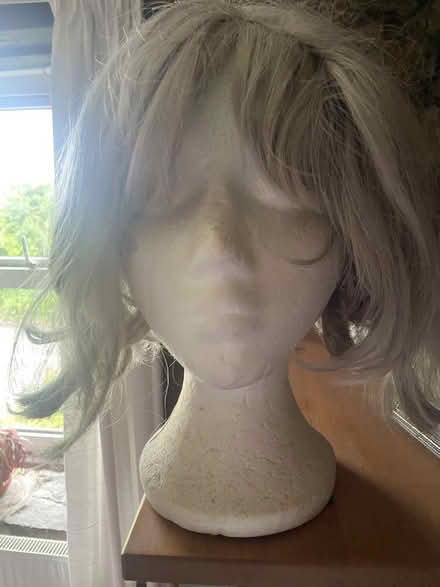 Photo of free 3 wigs (Tolroy TR27) #2