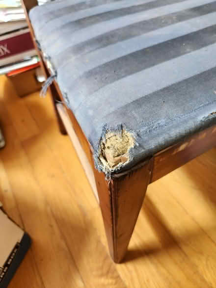 Photo of free 4 old wooden dining chairs,need TLC (Cambridge, near Western Ave) #2