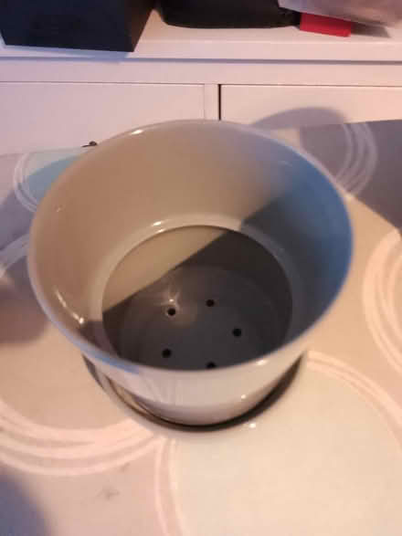 Photo of free 5 china plant pots (Isleworth TW7 Near Rugby Gd) #3