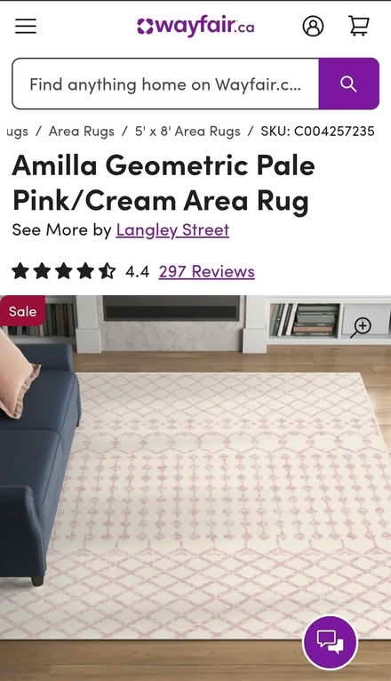 Photo of free 5x7 area rug (Leslieville--Queen & Greenwood) #2