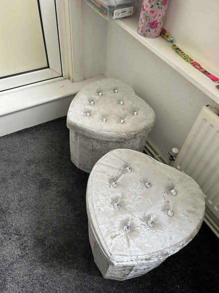 Photo of free Velvet collection (Alexandra Park M16) #2