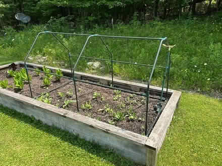 Photo of free Green house (Peterborough.) #4