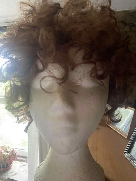 Photo of free 3 wigs (Tolroy TR27) #3