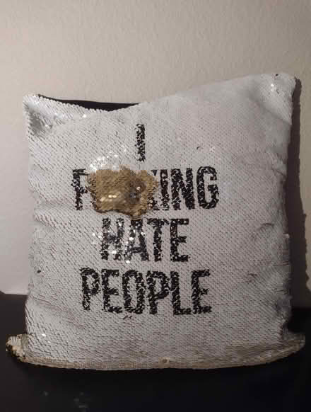 Photo of free Cheeky Sequin.Pillow (Ballard) #1
