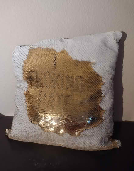 Photo of free Cheeky Sequin.Pillow (Ballard) #2