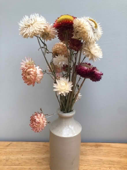 Photo of free Dried flowers (Harrogate HG2) #1