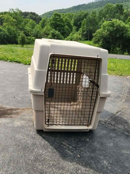 Photo of free large Dog Crate (virgil) #2