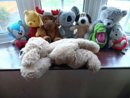 Photo of free soft toys (Twyford RG10) #1