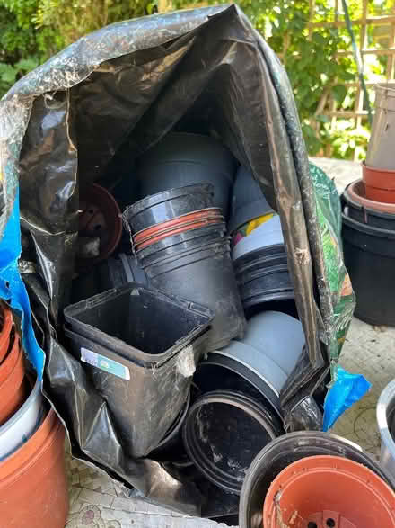 Photo of free Variety of plastic plant pots (Orpington) #1