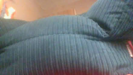 Photo of free Big Bertha bean bag chair (BA2) #3
