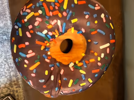 Photo of free Donut pillow (McLean near Spring Hill Road) #1