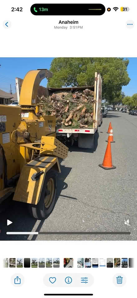 Photo of free fire wood (Anaheim) #1