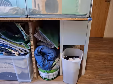 Photo of free Guinea pig enclosure (Leith EH6) #4